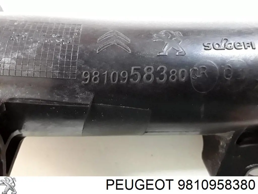 Compre 9810958380 Peugeot/Citroen Mangueira (cano derivado) de intercooler