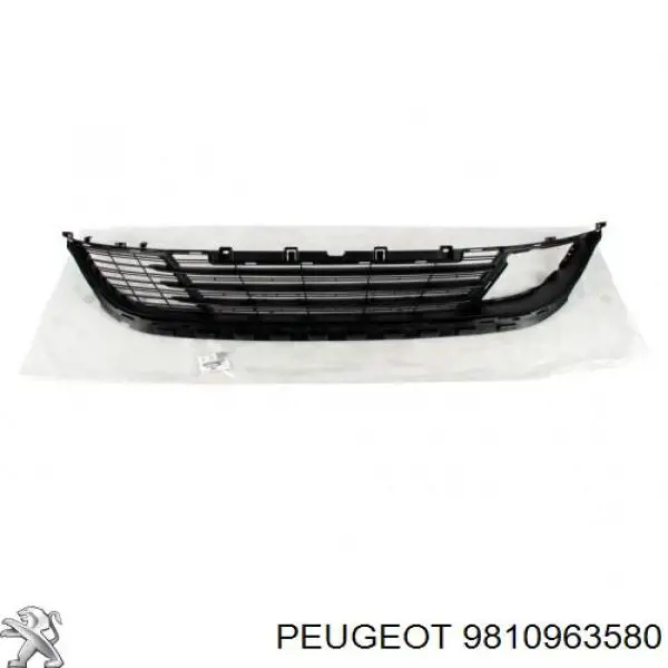 Grelha central do pára-choque dianteiro Peugeot/Citroen 9810963580 preço, a partir de 44,99 USD