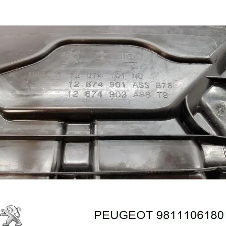 Compre 9811106180 Peugeot/Citroen Tanque AD BLUE