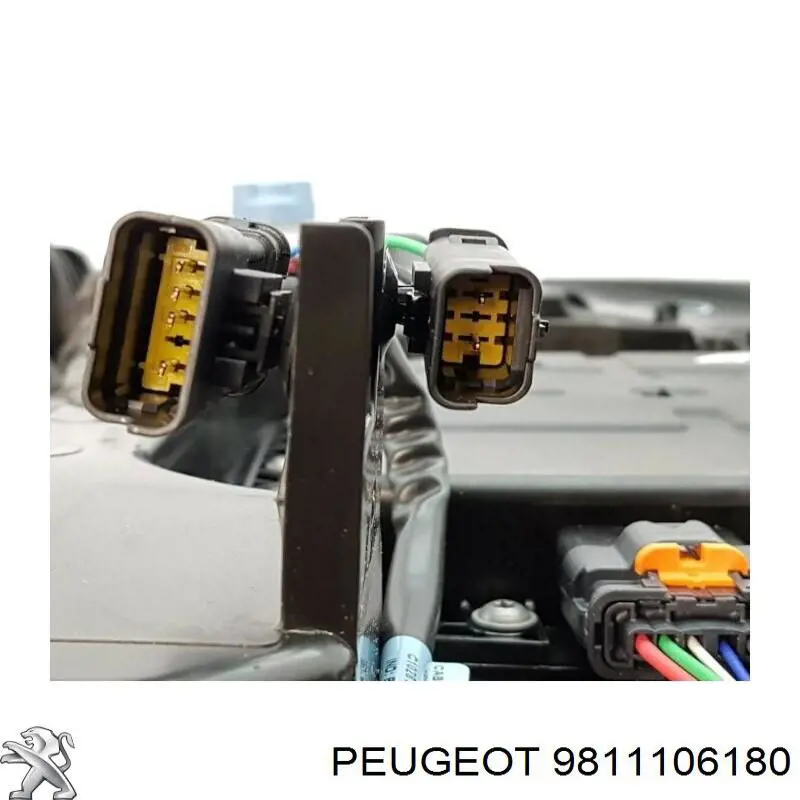 9811106180 Peugeot/Citroen Tanque AD BLUE
