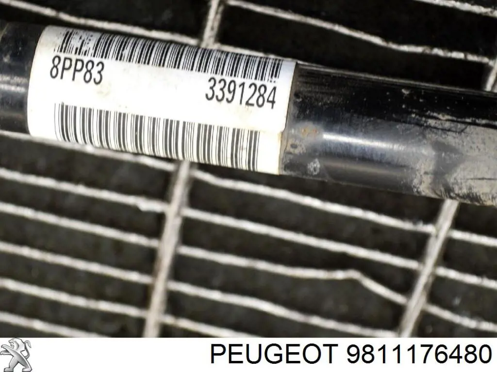 9811176480 Peugeot/Citroen Semieixo (acionador) dianteiro direito