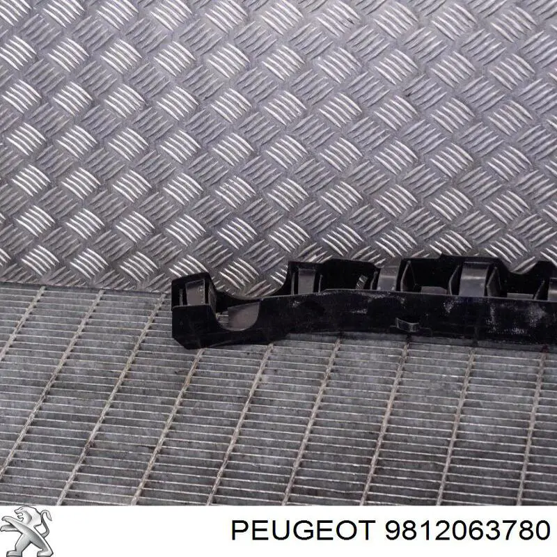 Reforçador do pára-choque dianteiro Peugeot/Citroen 9812063780