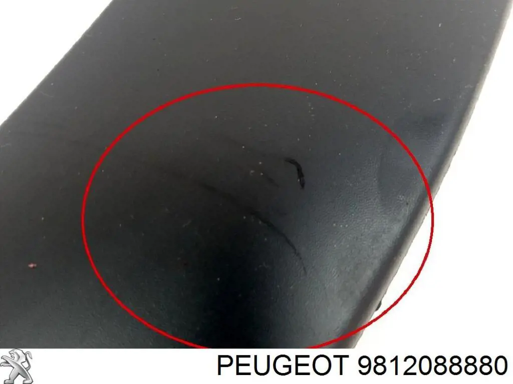 9812088880 Peugeot/Citroen Expansor esquerdo (placa sobreposta) de arco do pára-lama traseiro
