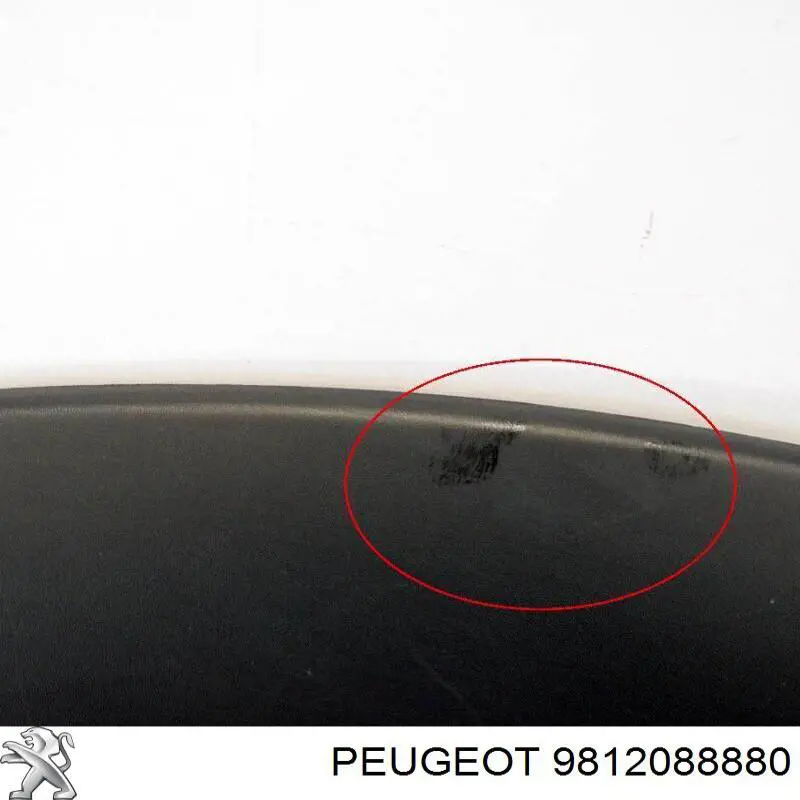 9812088880 Peugeot/Citroen Expansor esquerdo (placa sobreposta) de arco do pára-lama traseiro