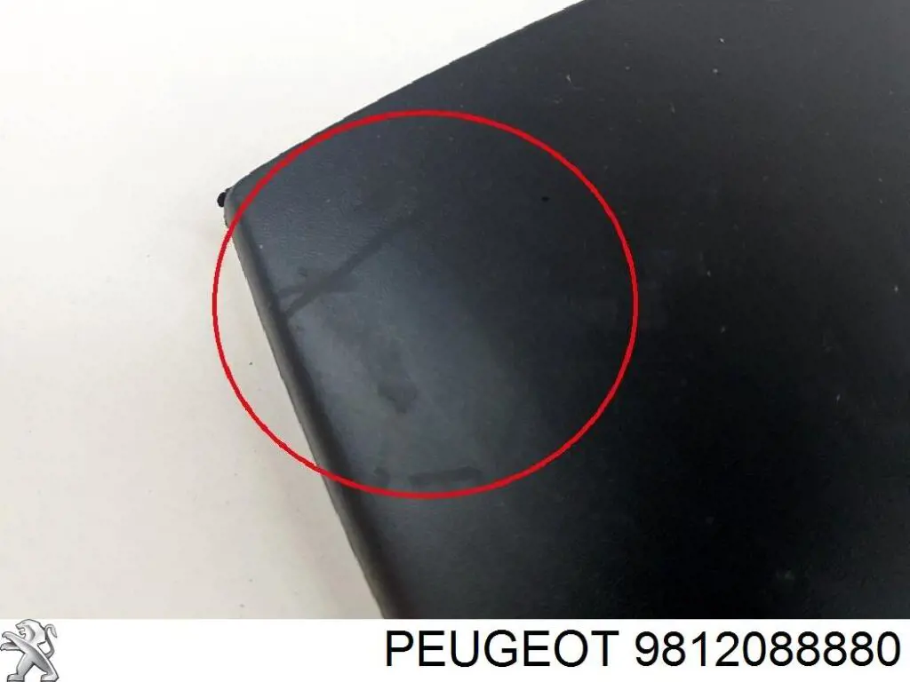 Compre 9812088880 Peugeot/Citroen Expansor esquerdo (placa sobreposta) de arco do pára-lama traseiro