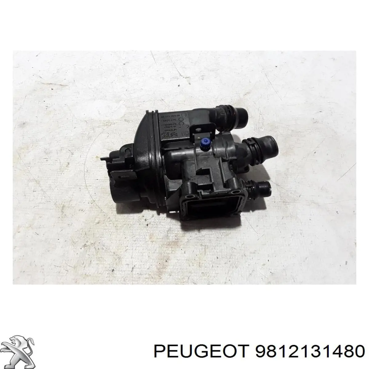 9812131480 Peugeot/Citroen Caixa do termostato