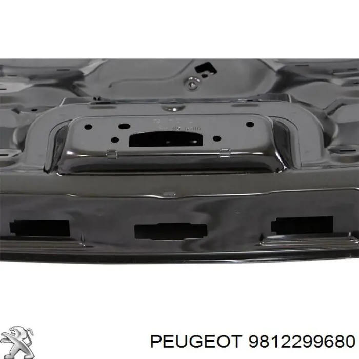 9812299680 Peugeot/Citroen 