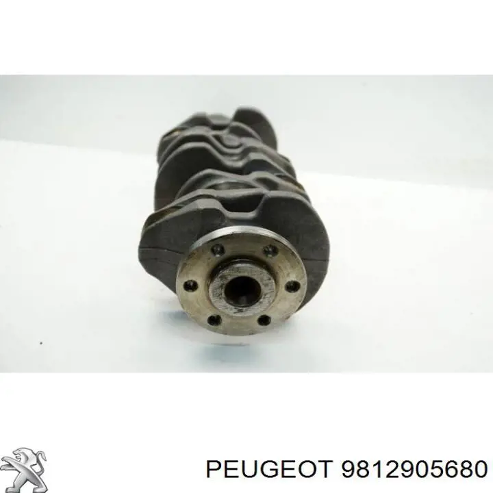 9812905680 Peugeot/Citroen Cambota de motor