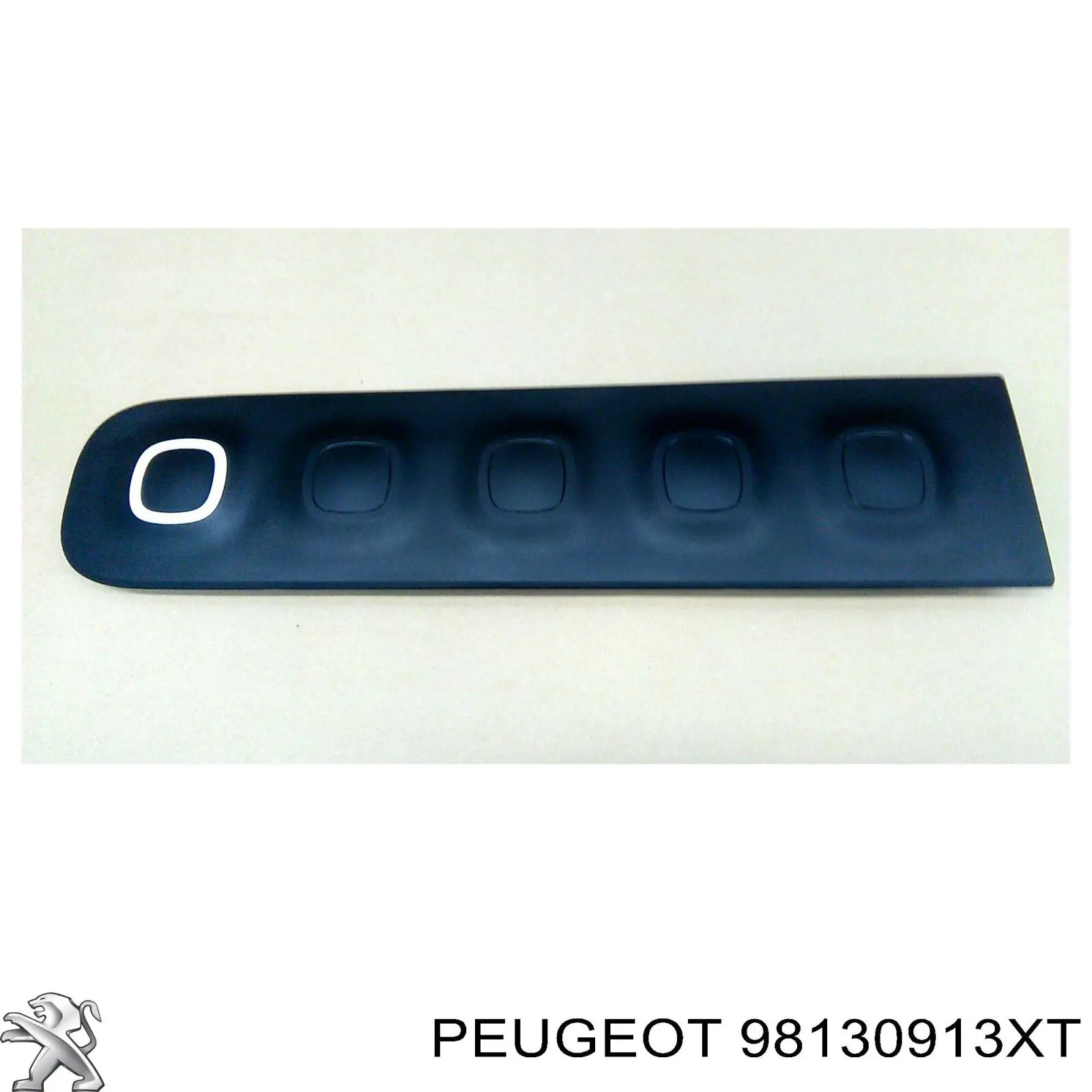  Peugeot/Citroen 98130913XT