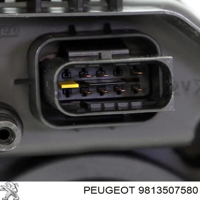 Luz direita 9813507580 Peugeot/Citroen