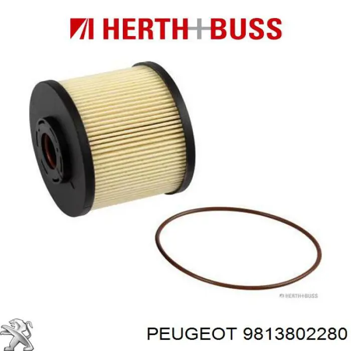 Compre 9813802280 Peugeot/Citroen Filtro de combustível