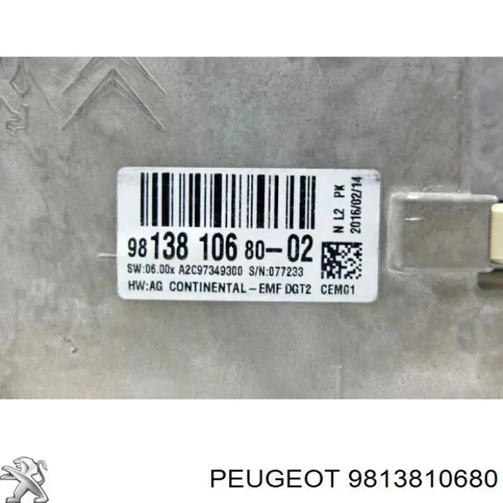 9813810680 Peugeot/Citroen 