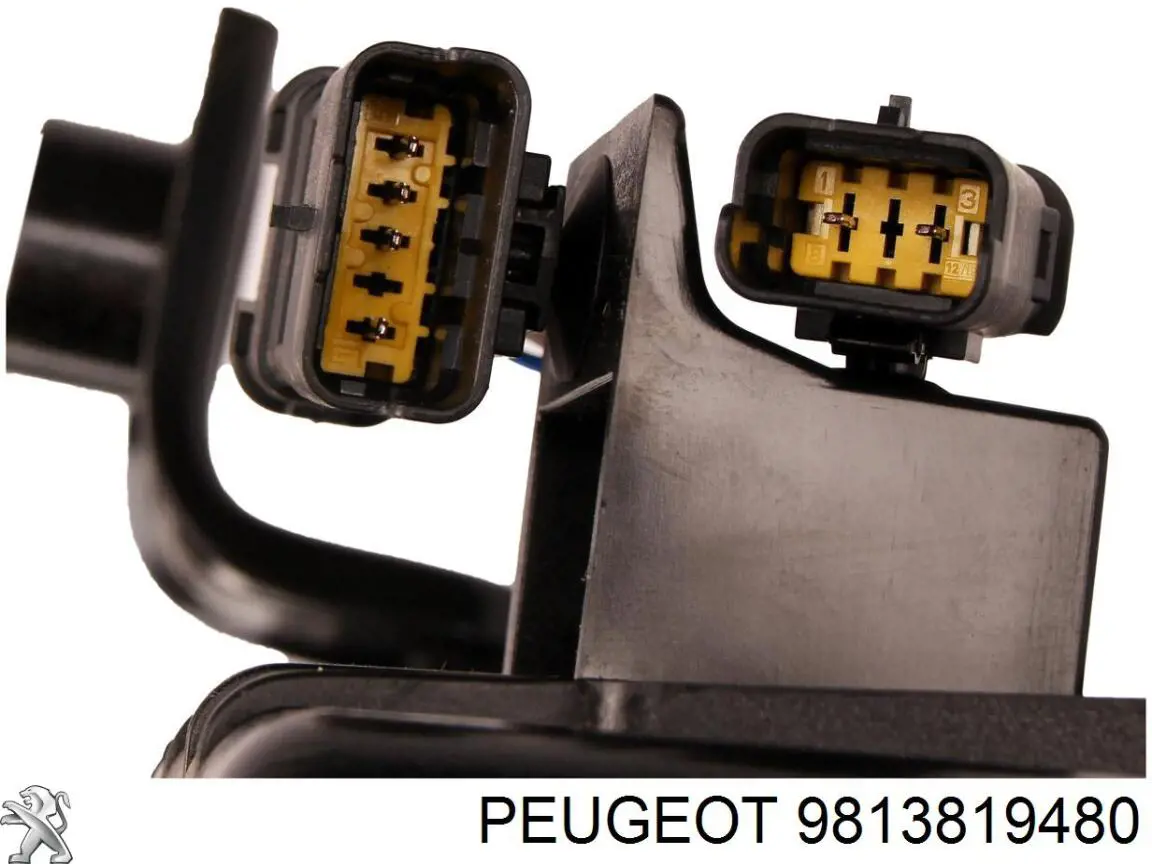 9813819480 Peugeot/Citroen 