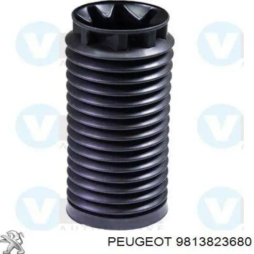 Amortecedor dianteiro Raiso RS319556