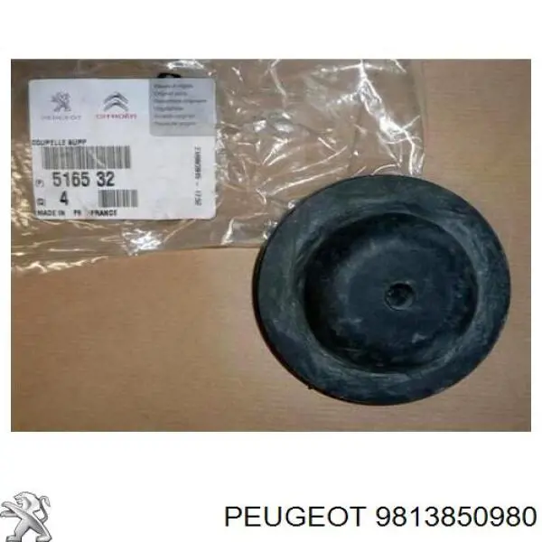 Compre 9813850980 Peugeot/Citroen Tampa de gargalo de enchimento de tanque AD BLUE