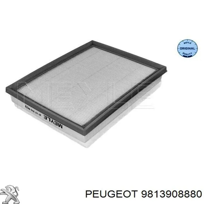 Filtro de ar 9813908880 Peugeot/Citroen
