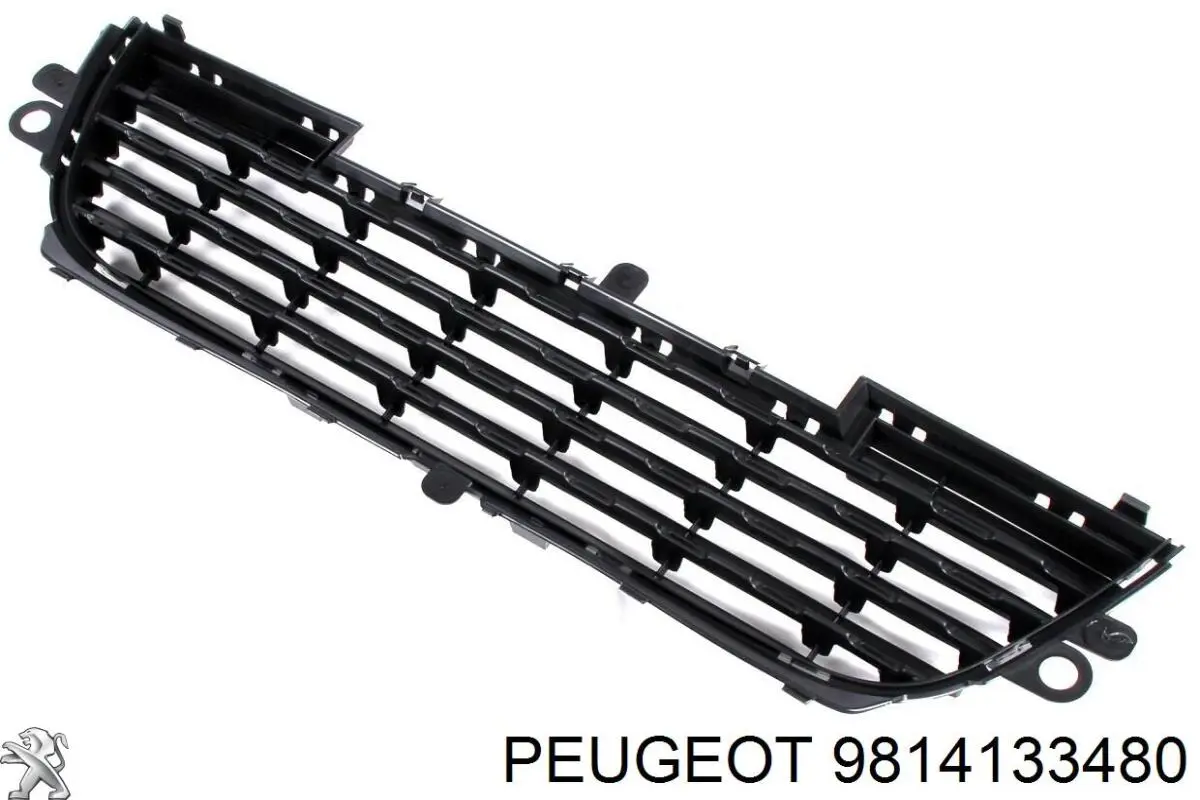 9814133480 Peugeot/Citroen 