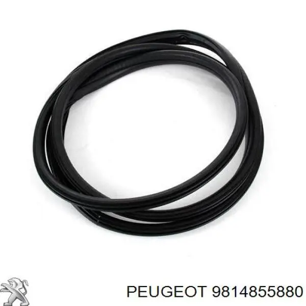 Compactador da porta dianteira (na carroçaria) Peugeot/Citroen 9814855880 preço, a partir de 106,83 USD