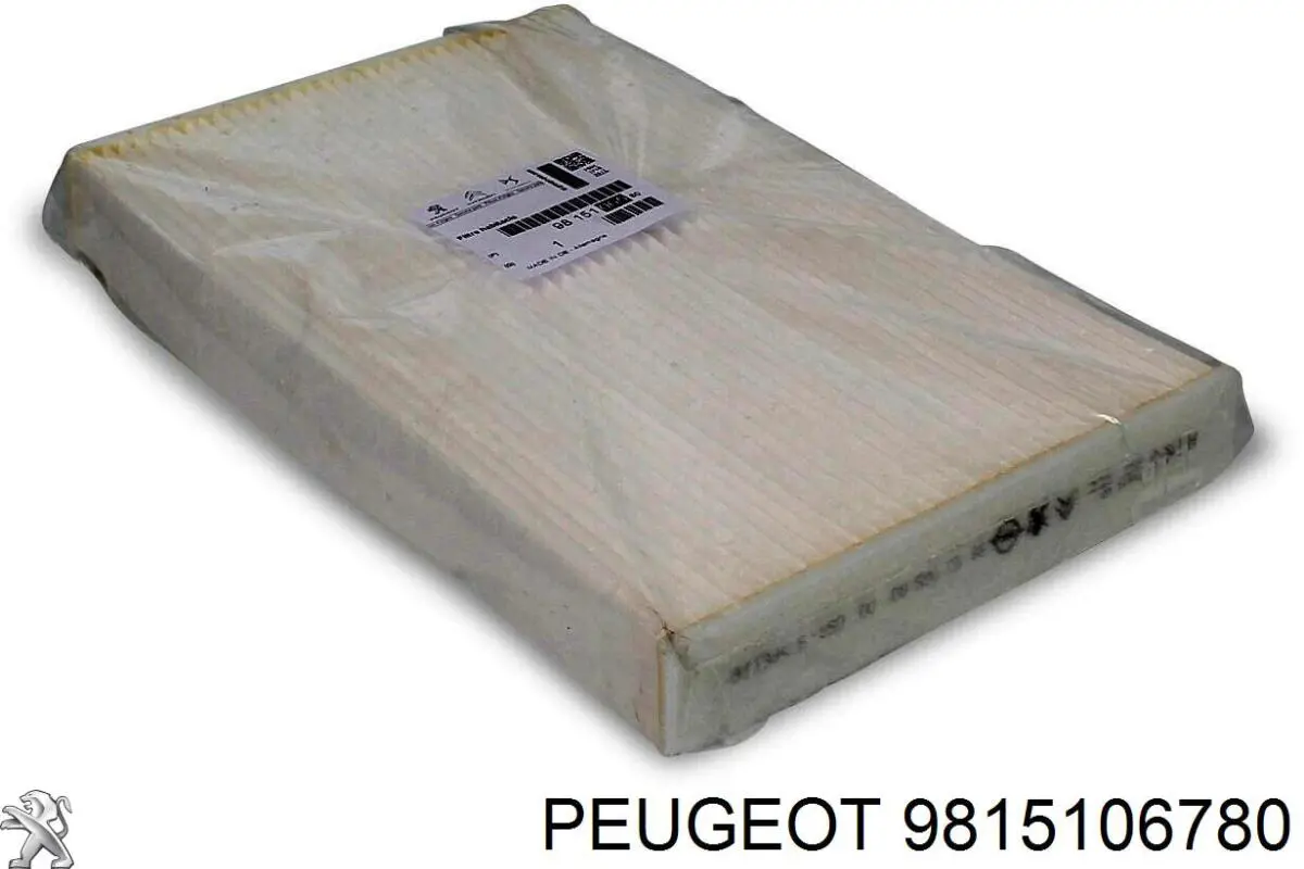 Compre 9815106780 Peugeot/Citroen Filtro de salão