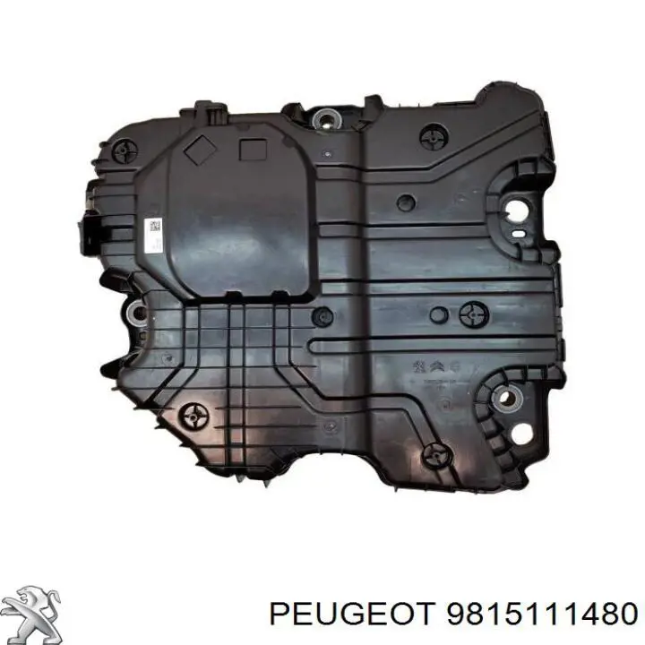 Tanque AD BLUE Peugeot/Citroen 9815111480