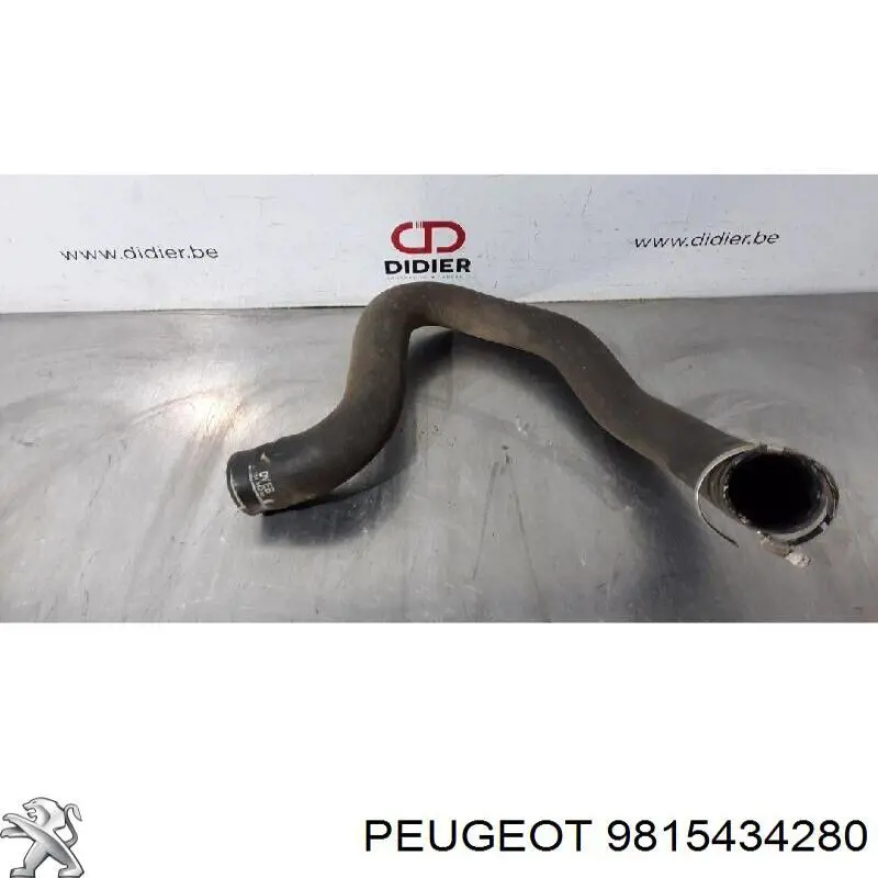 Mangueira (cano derivado) de intercooler 9815434280 Peugeot/Citroen