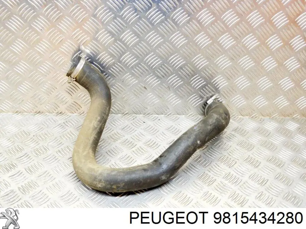 Compre 9815434280 Peugeot/Citroen Mangueira (cano derivado) de intercooler