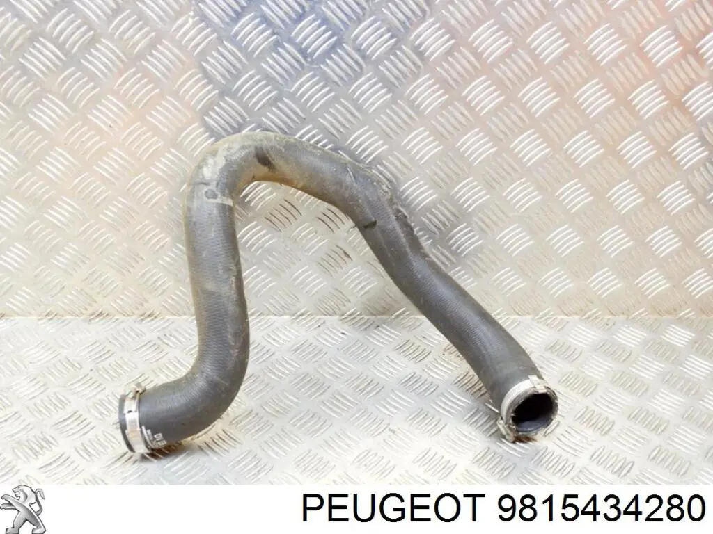 Mangueira (cano derivado) de intercooler Peugeot/Citroen 9815434280