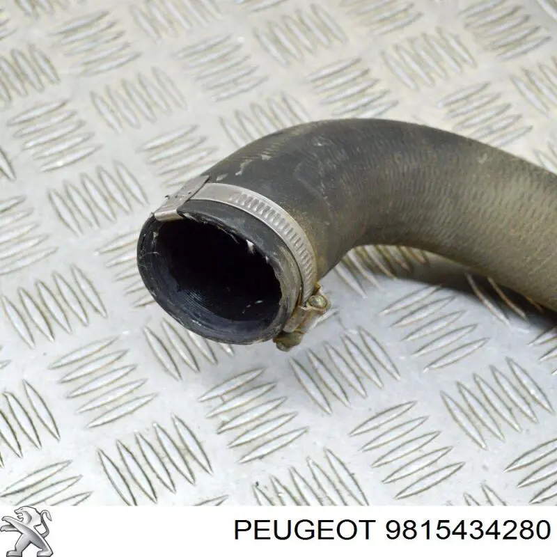 9815434280 Peugeot/Citroen Mangueira (cano derivado) de intercooler