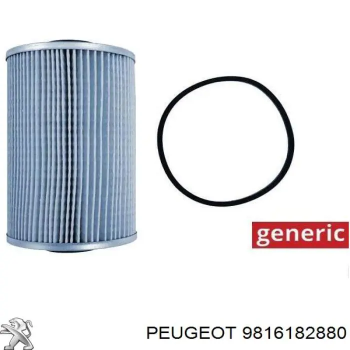 9816182880 Peugeot/Citroen Caixa de filtro de combustível