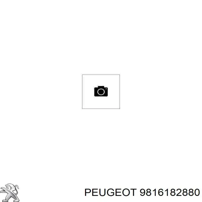 Compre 9816182880 Peugeot/Citroen Caixa de filtro de combustível