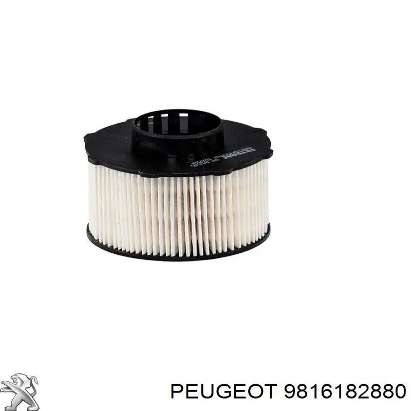 Caixa de filtro de combustível Peugeot/Citroen 9816182880