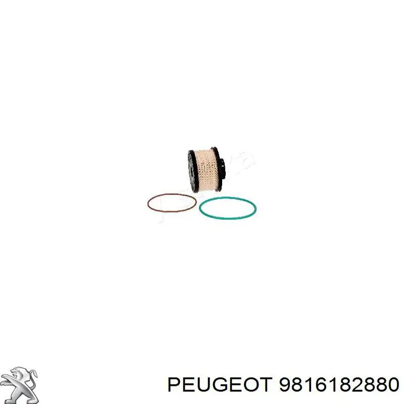 9816182880 Peugeot/Citroen Caixa de filtro de combustível
