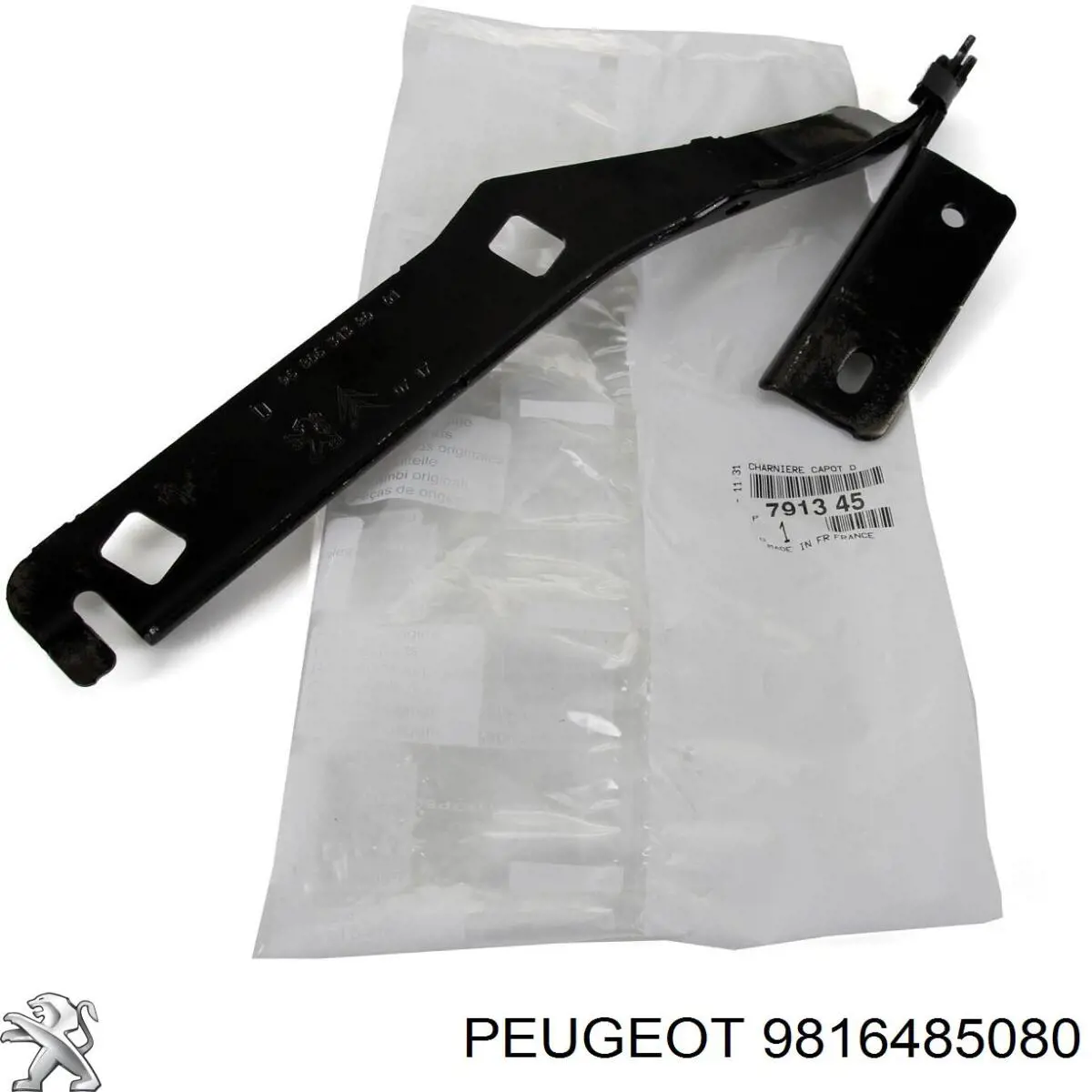 9816485080 Peugeot/Citroen Gozno da capota esquerdo