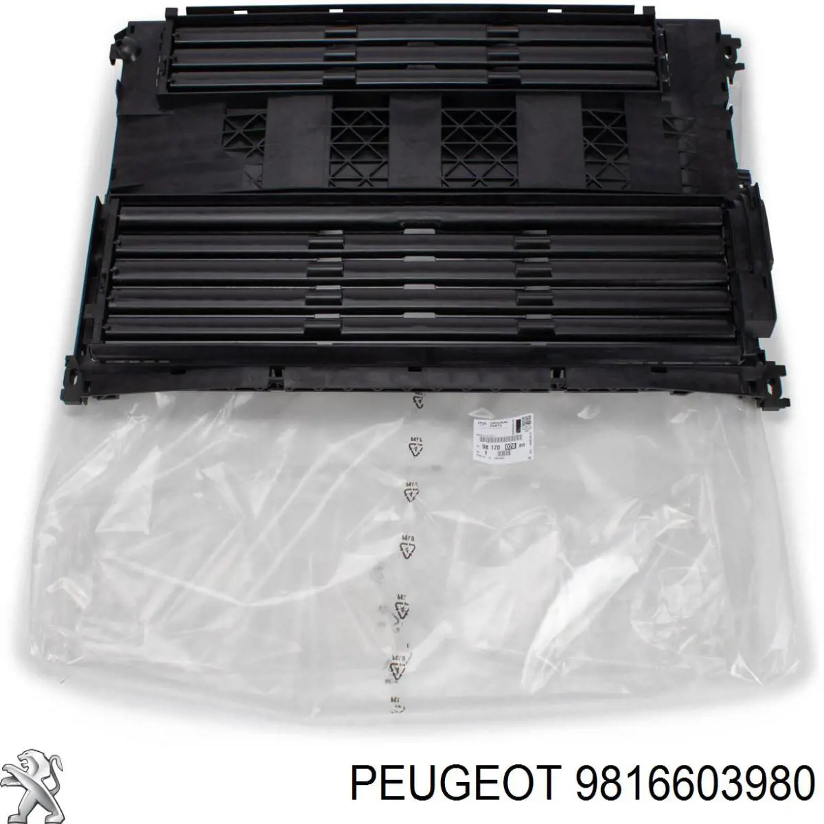 9816603980 Peugeot/Citroen Suporte superior do radiador (painel de montagem de fixação das luzes)