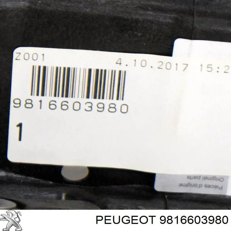 9816603980 Peugeot/Citroen Suporte superior do radiador (painel de montagem de fixação das luzes)