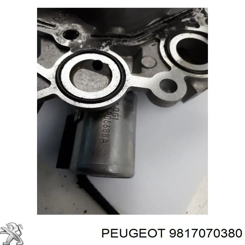 Válvula de regulação de pressão de óleo Peugeot/Citroen 9817070380 preço, a partir de 143,02 USD