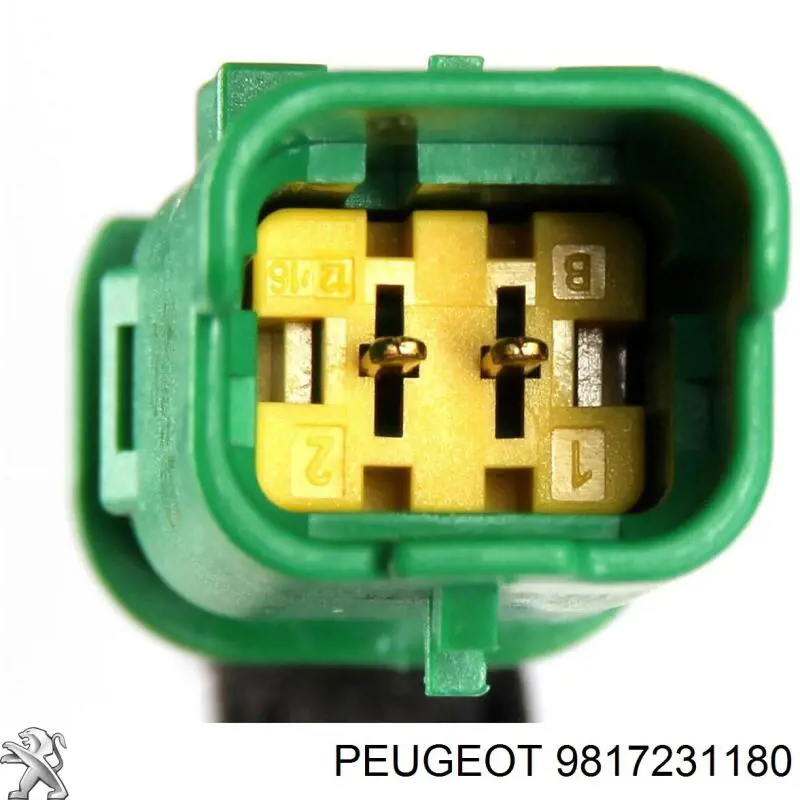  9817231180 Peugeot/Citroen