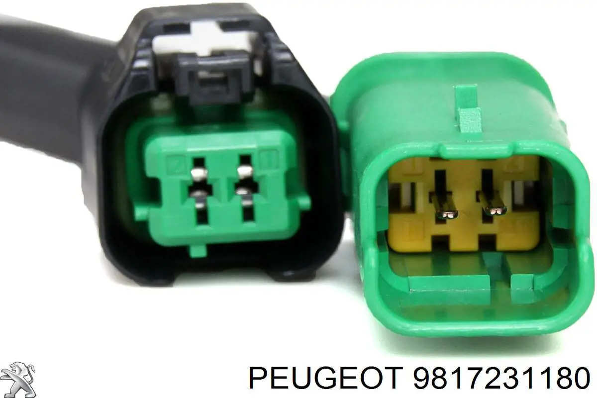 9817231180 Peugeot/Citroen 