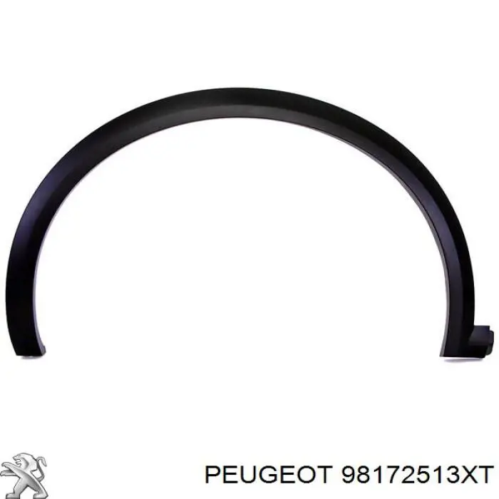 98172513XT Peugeot/Citroen 