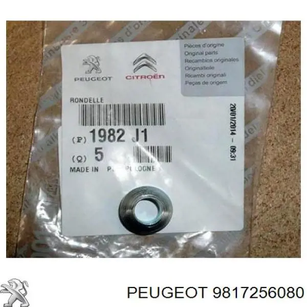 Compre 9817256080 Peugeot/Citroen Filtro de combustível