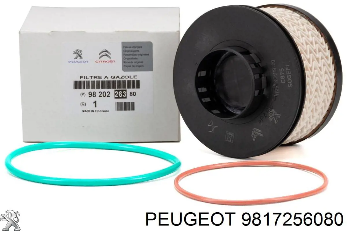 9817256080 Peugeot/Citroen Filtro de combustível