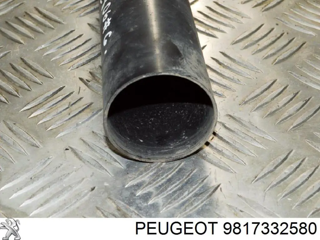 Compre 9817332580 Peugeot/Citroen Bota de proteção de amortecedor traseiro