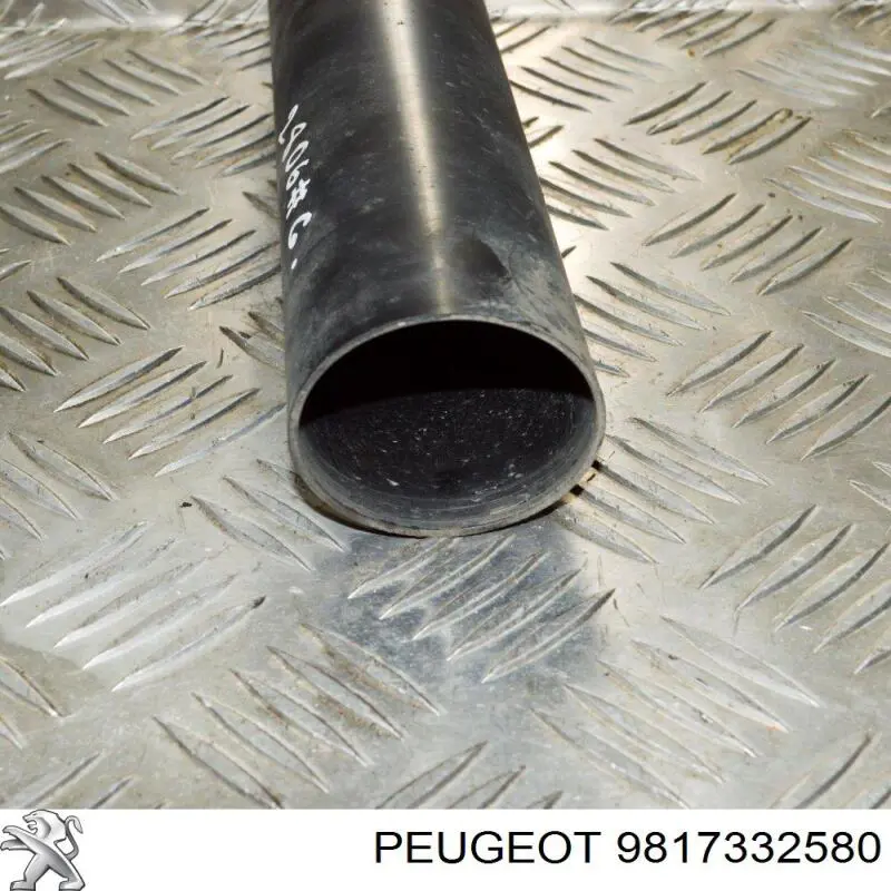 Bota de proteção de amortecedor traseiro 9817332580 Peugeot/Citroen