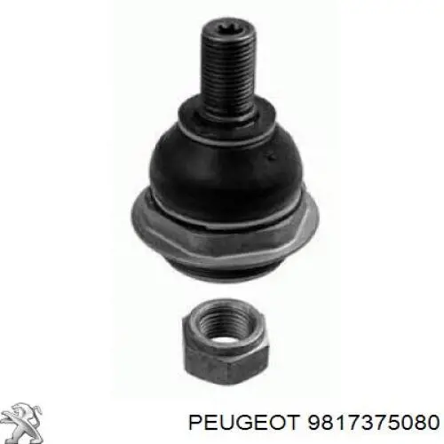 Suporte de esfera inferior Peugeot/Citroen 9817375080 preço, a partir de 17,77 USD