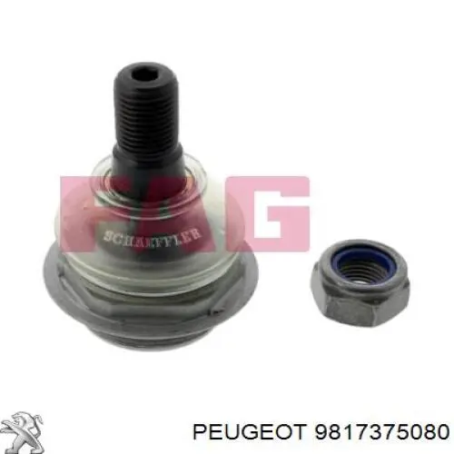 Compre 9817375080 Peugeot/Citroen Suporte de esfera inferior