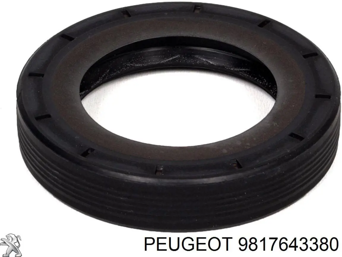 9817643380 Peugeot/Citroen Vedante de tampa de válvulas de motor