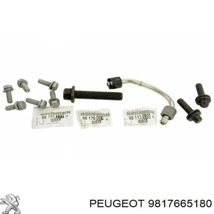 Parafuso da polia de cambota 9817665180 Peugeot/Citroen