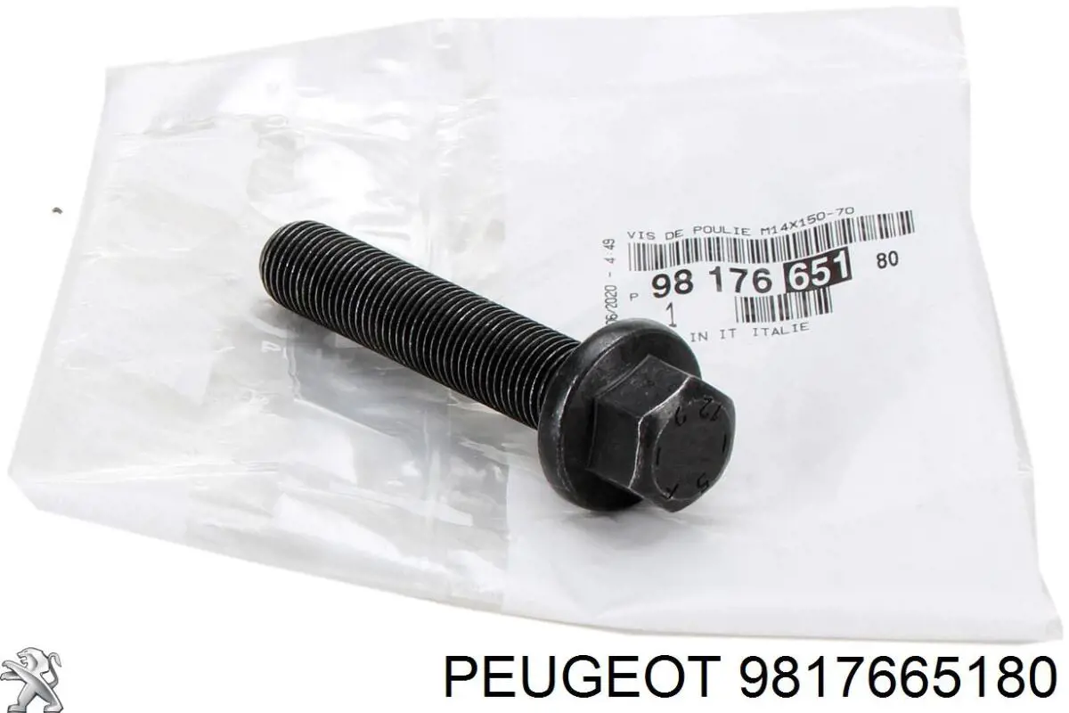 Parafuso da polia de cambota Peugeot/Citroen 9817665180