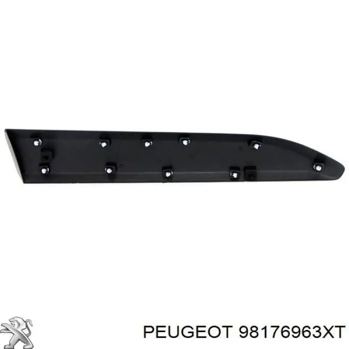 Moldura da porta dianteira esquerda inferior 98176963XT Peugeot/Citroen