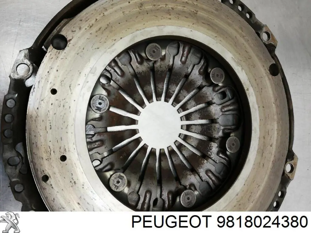 9818024380 Peugeot/Citroen Volante de motor